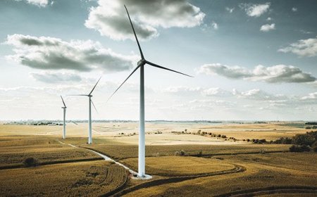 Green Energy Projects Reshaping Muslim Economies