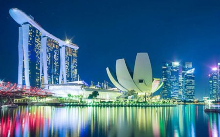 South Asia’s Tech Startups: A Rising Force in the Global Economy
