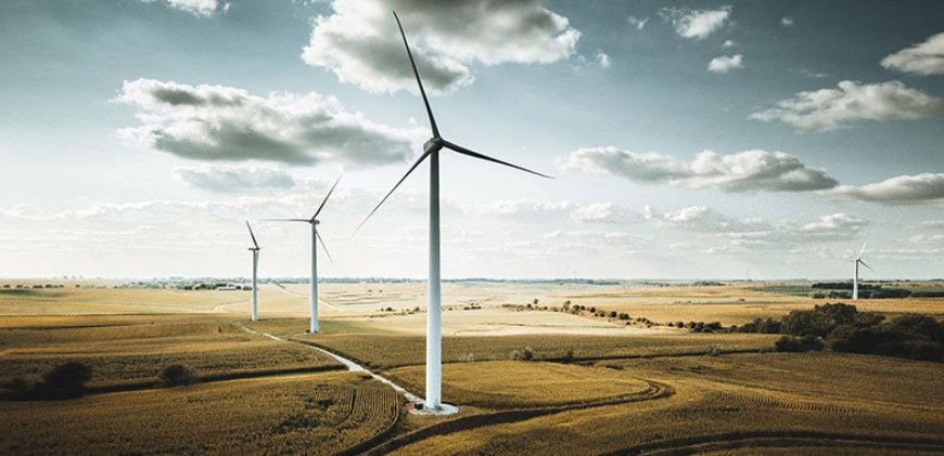 Green Energy Projects Reshaping Muslim Economies