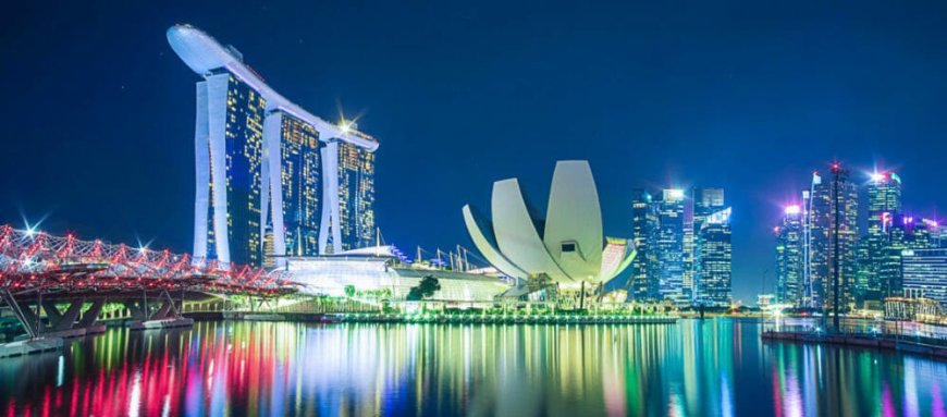 South Asia’s Tech Startups: A Rising Force in the Global Economy